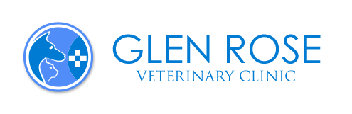 glen rose veterinary clinic